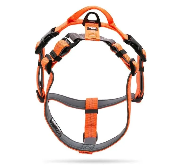 3M Lightweight Webbing Harness