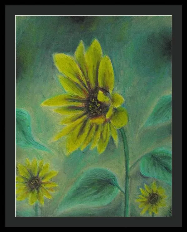Hazing Sunflowers - Framed Print