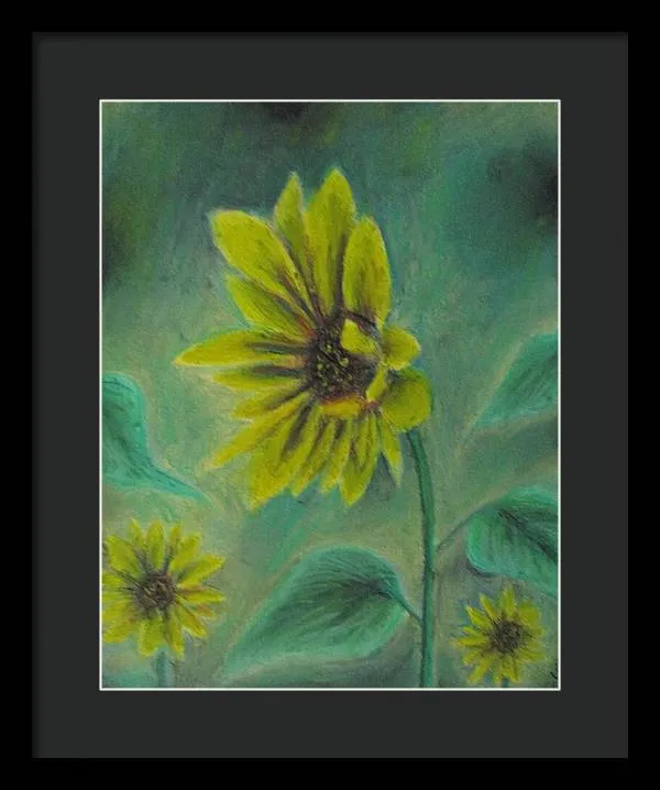 Hazing Sunflowers - Framed Print