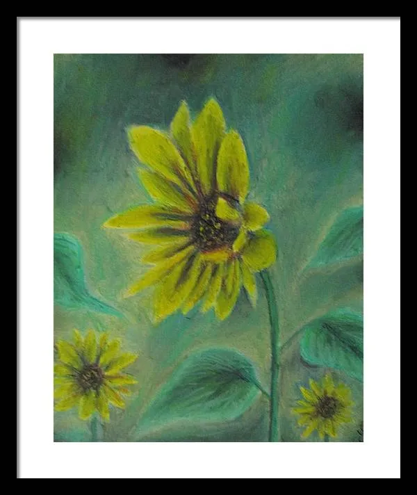 Hazing Sunflowers - Framed Print