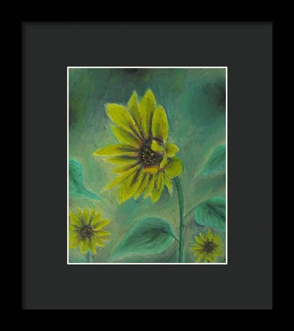 Hazing Sunflowers - Framed Print