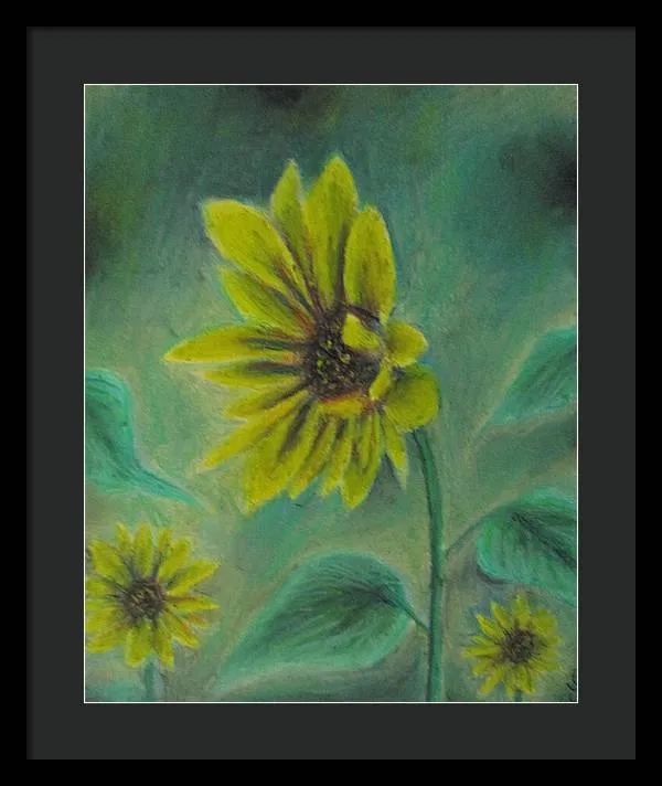 Hazing Sunflowers - Framed Print