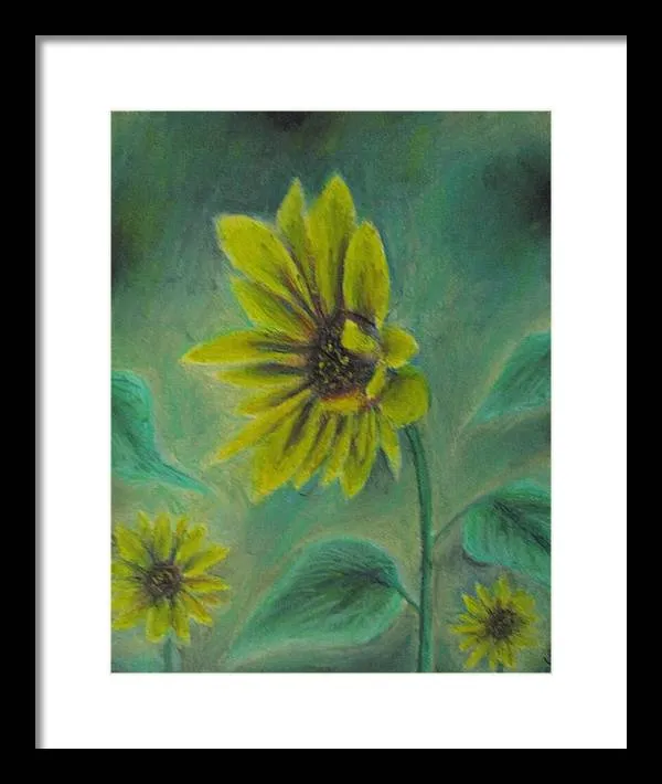 Hazing Sunflowers - Framed Print
