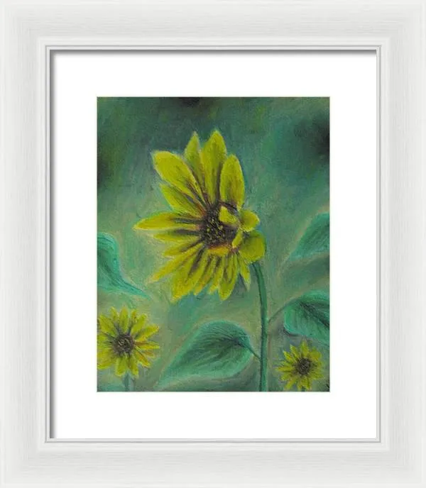 Hazing Sunflowers - Framed Print