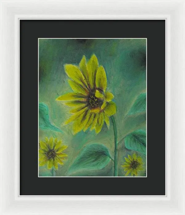 Hazing Sunflowers - Framed Print