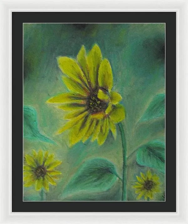 Hazing Sunflowers - Framed Print