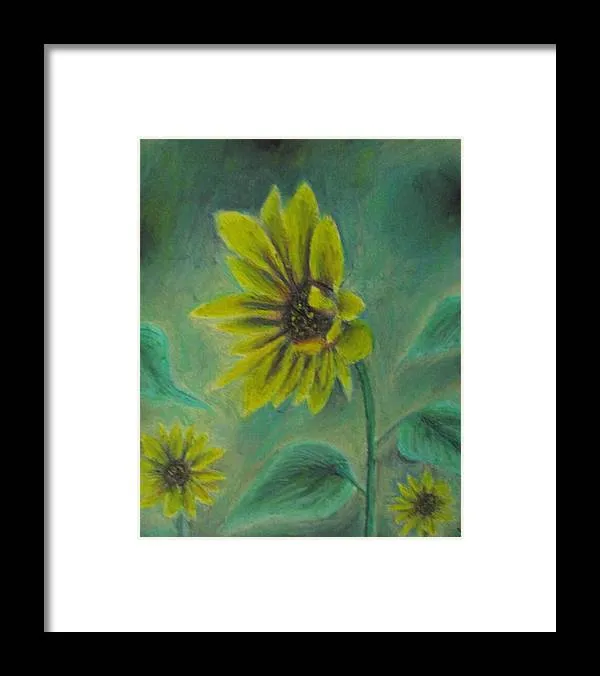 Hazing Sunflowers - Framed Print