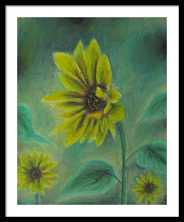 Hazing Sunflowers - Framed Print