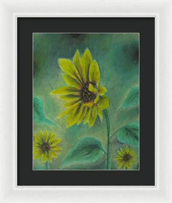 Hazing Sunflowers - Framed Print