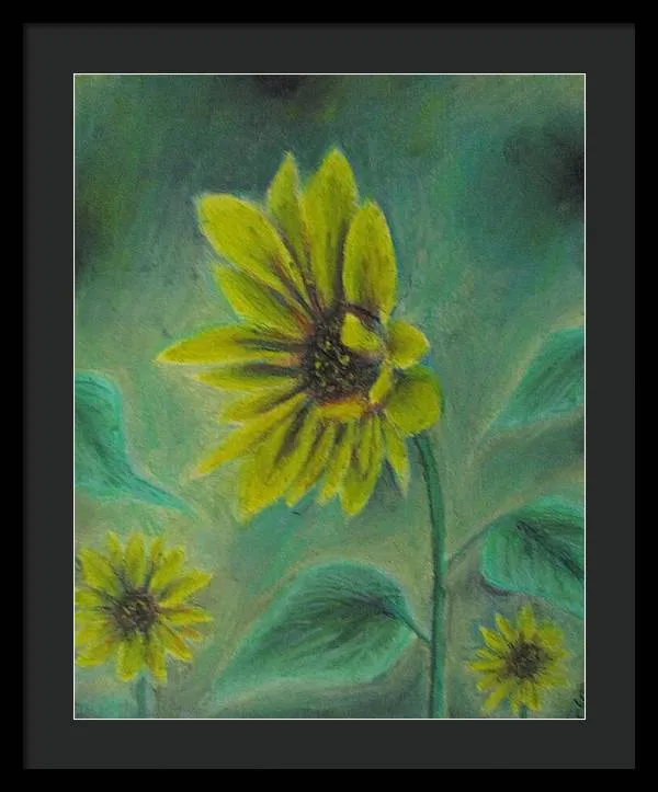 Hazing Sunflowers - Framed Print