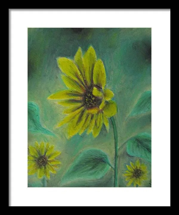 Hazing Sunflowers - Framed Print