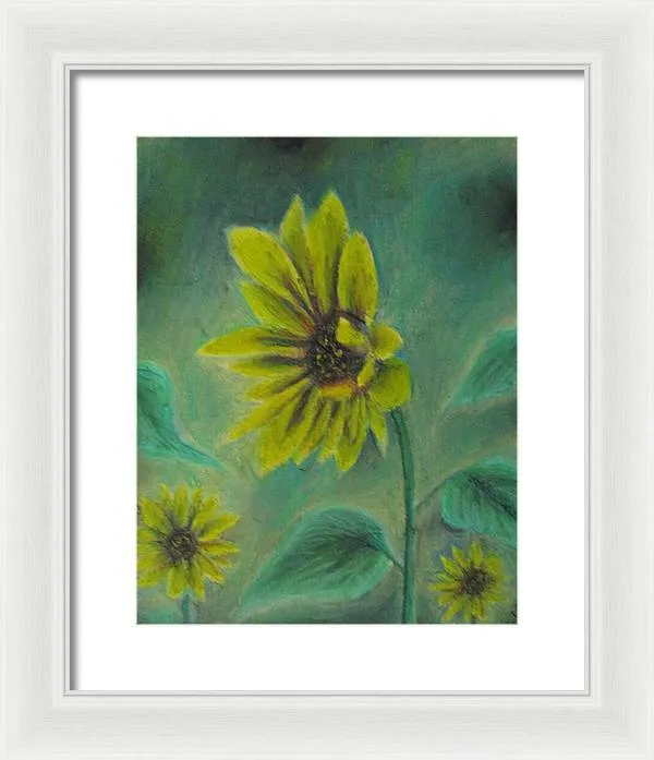 Hazing Sunflowers - Framed Print