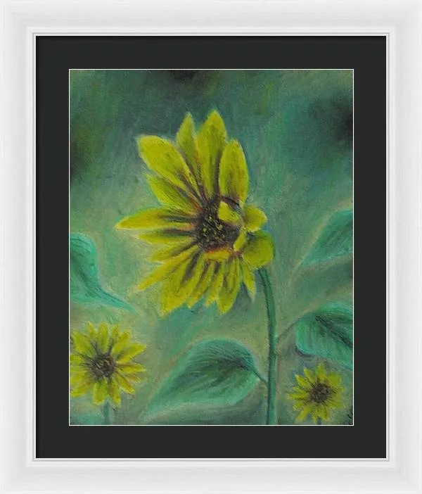 Hazing Sunflowers - Framed Print