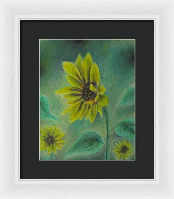 Hazing Sunflowers - Framed Print