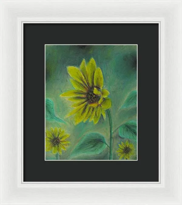 Hazing Sunflowers - Framed Print