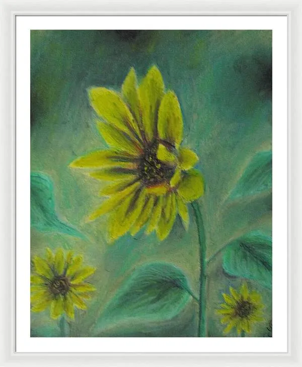 Hazing Sunflowers - Framed Print