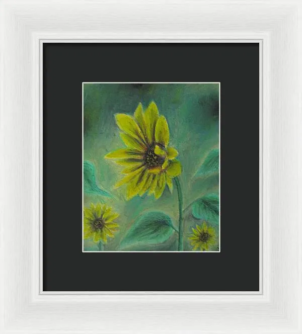 Hazing Sunflowers - Framed Print