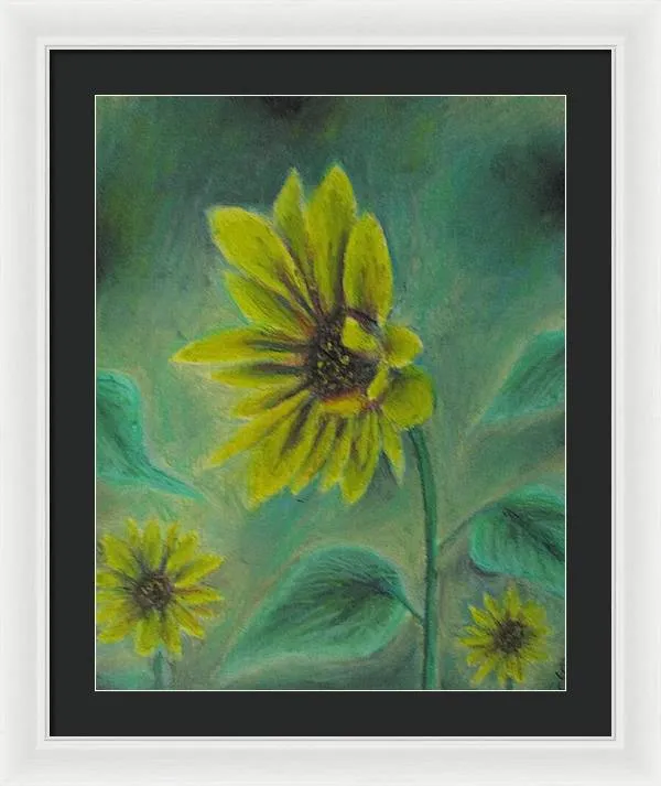 Hazing Sunflowers - Framed Print