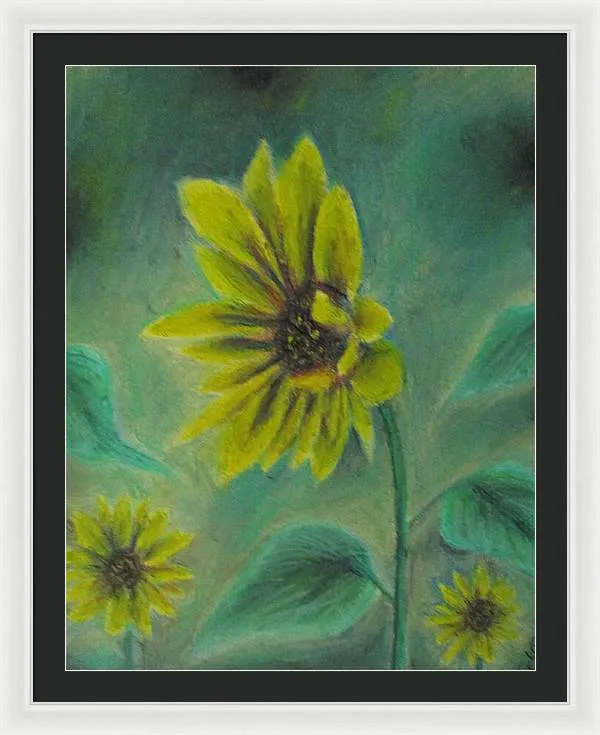 Hazing Sunflowers - Framed Print
