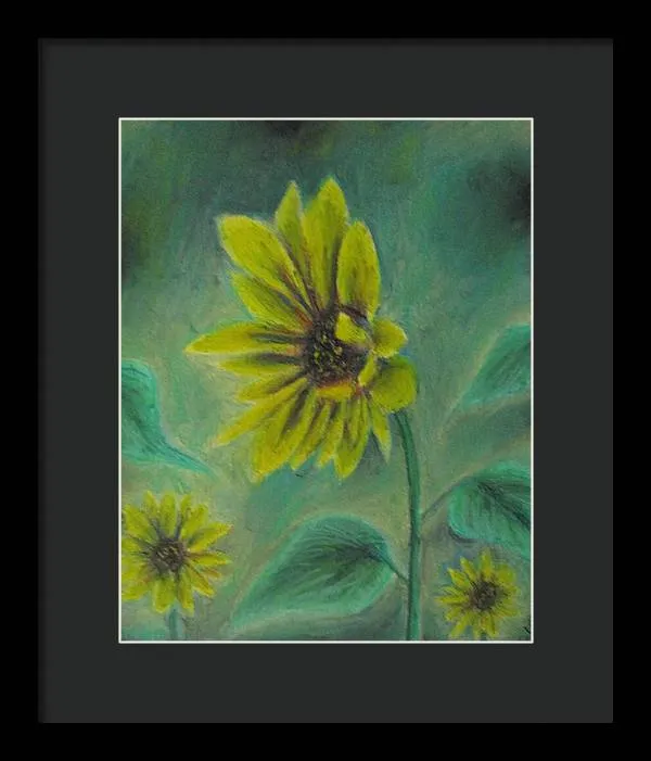 Hazing Sunflowers - Framed Print