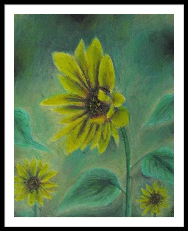 Hazing Sunflowers - Framed Print