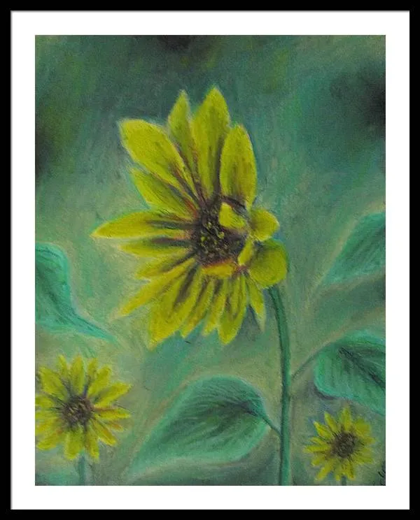Hazing Sunflowers - Framed Print