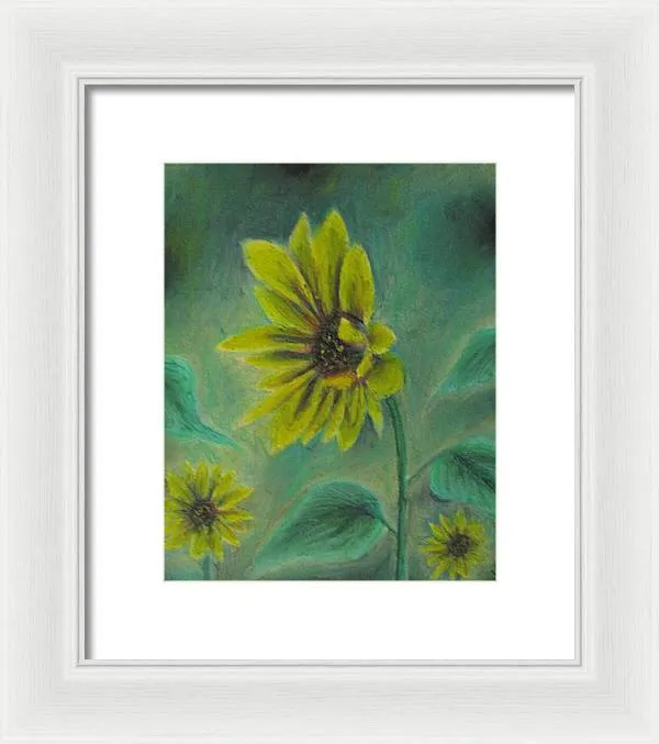 Hazing Sunflowers - Framed Print