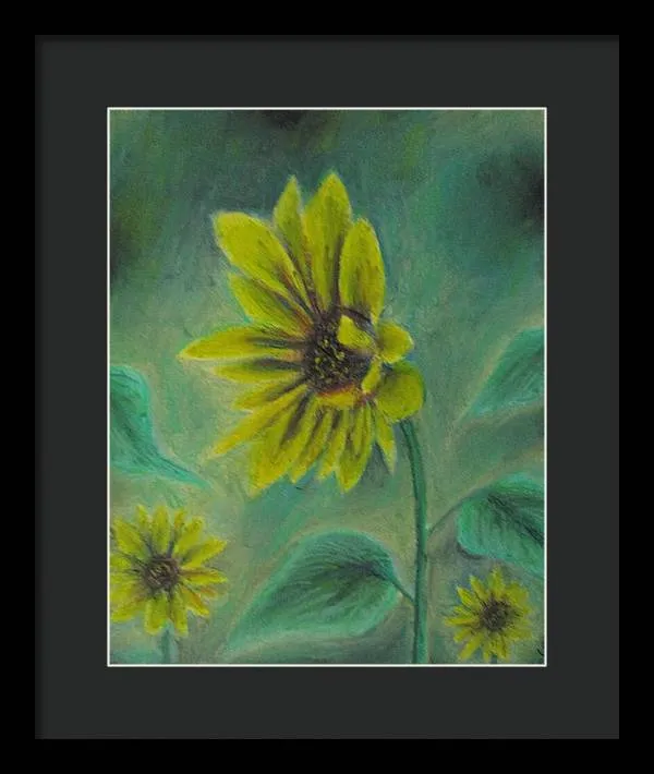 Hazing Sunflowers - Framed Print