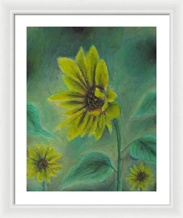 Hazing Sunflowers - Framed Print