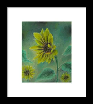 Hazing Sunflowers - Framed Print