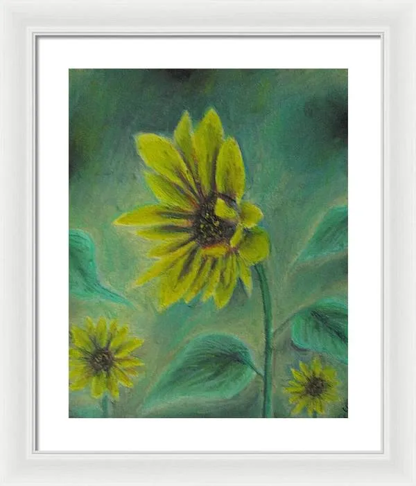 Hazing Sunflowers - Framed Print