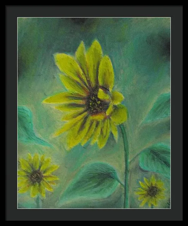 Hazing Sunflowers - Framed Print