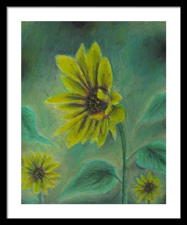 Hazing Sunflowers - Framed Print