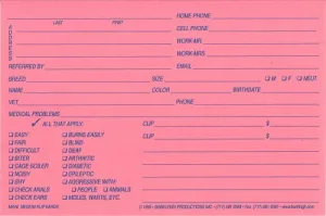 Medium Klip Card 4x6 Pink - Qty 100