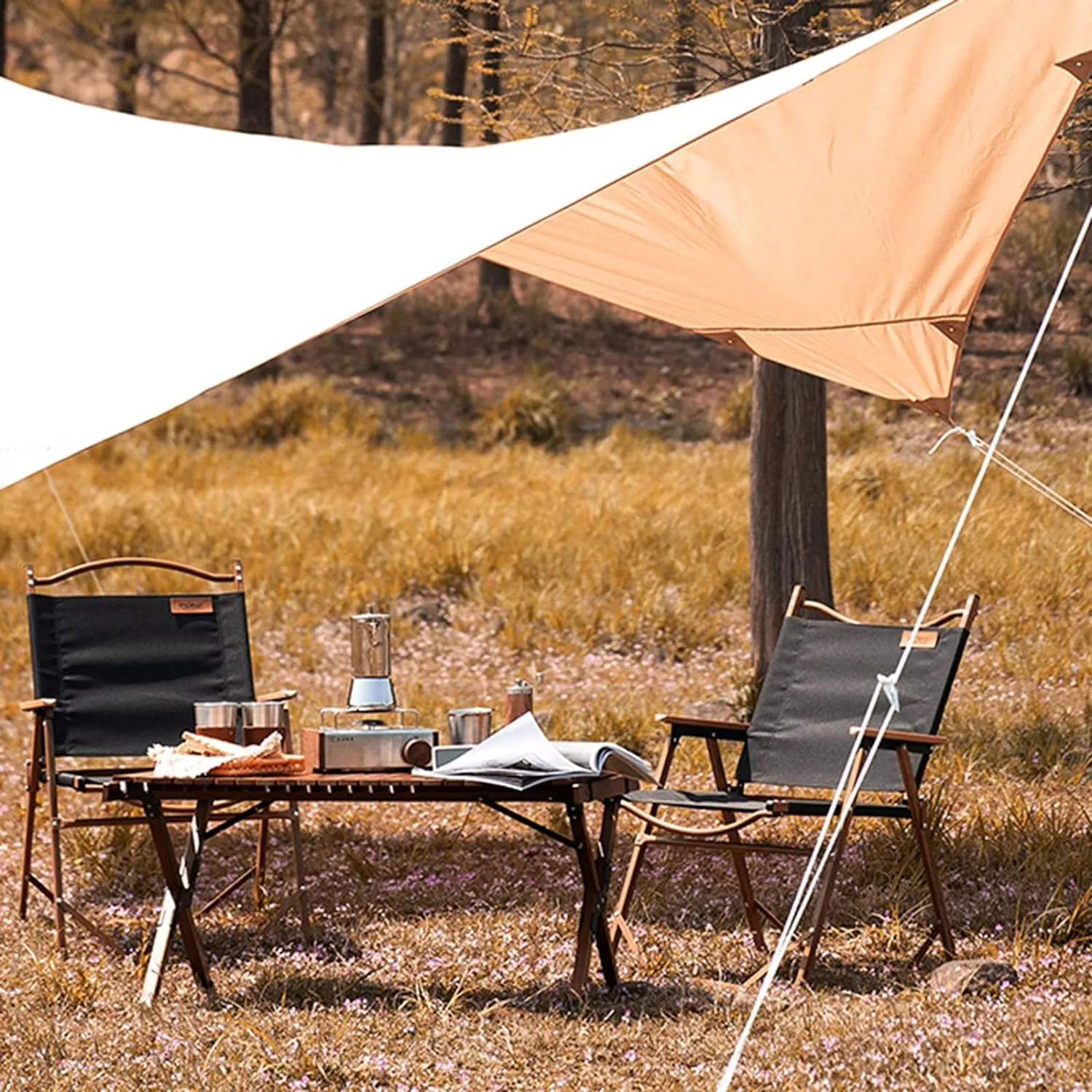 Outdoor Portable Camping Foldable Chair 10069