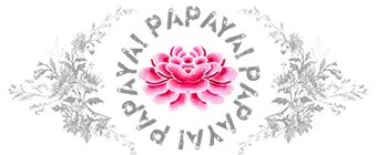 PAPAYA! Art Sun Chaser Coin Purse (5.5" x 3.5")