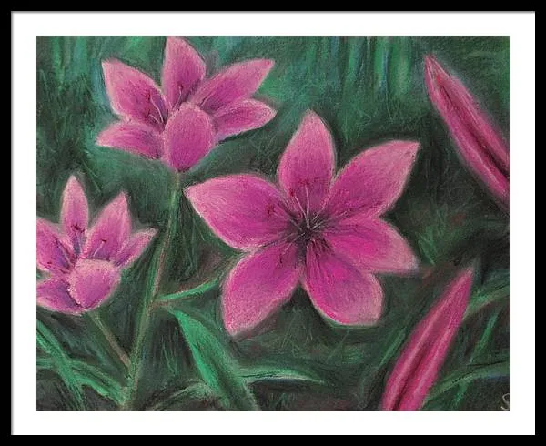 Pink Lilies - Framed Print