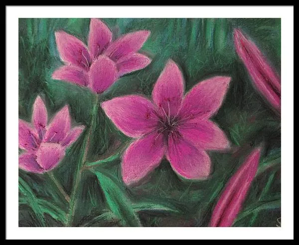 Pink Lilies - Framed Print