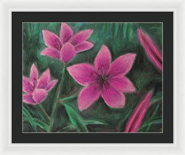 Pink Lilies - Framed Print