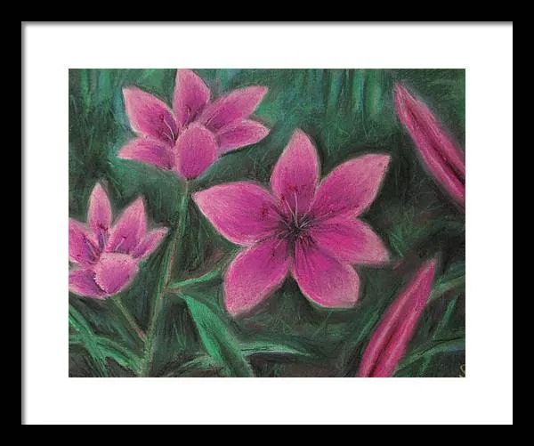 Pink Lilies - Framed Print
