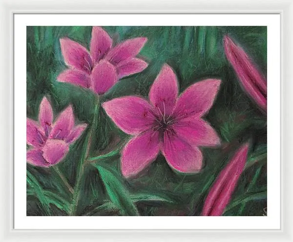 Pink Lilies - Framed Print