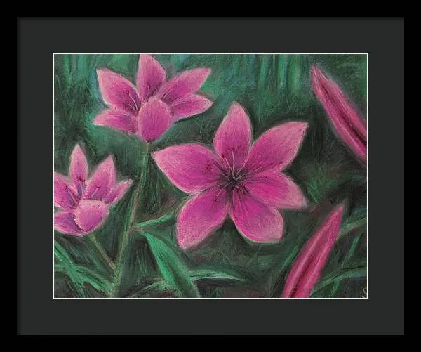 Pink Lilies - Framed Print
