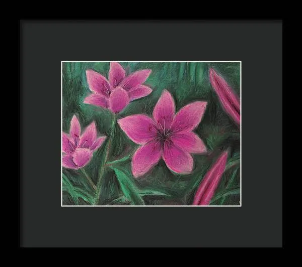 Pink Lilies - Framed Print