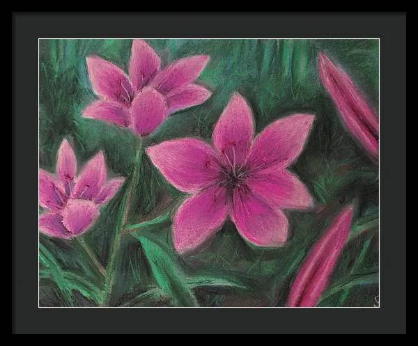 Pink Lilies - Framed Print