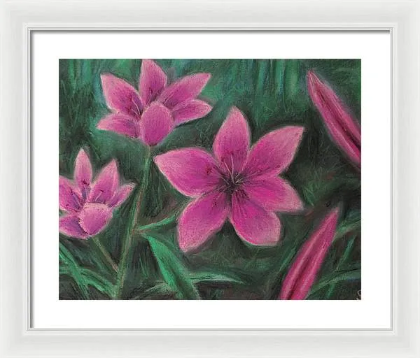Pink Lilies - Framed Print