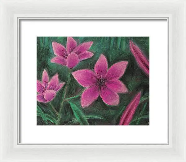 Pink Lilies - Framed Print