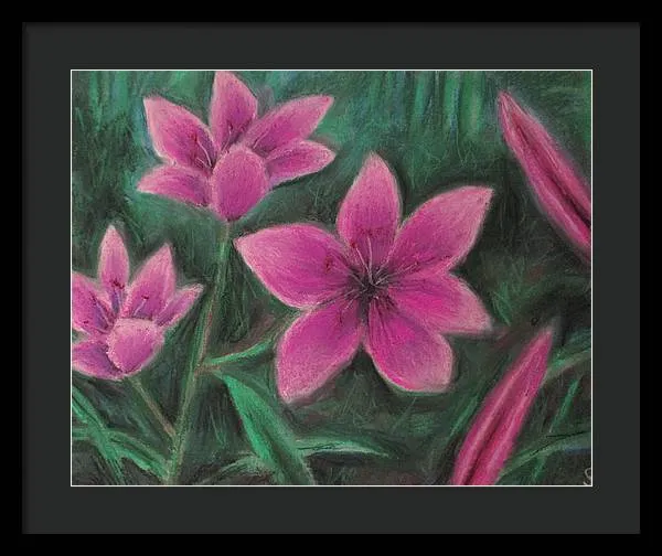 Pink Lilies - Framed Print