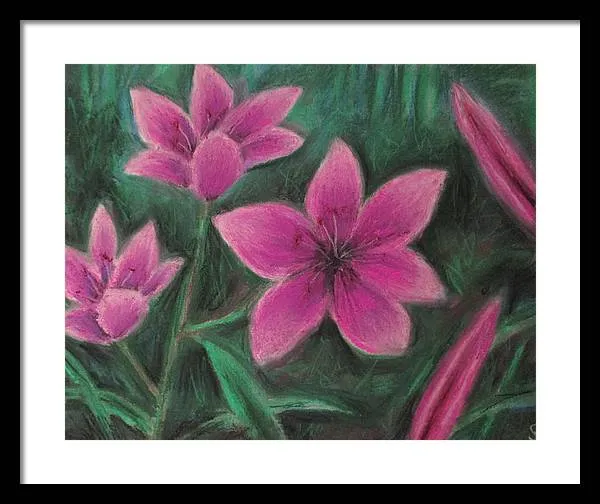 Pink Lilies - Framed Print