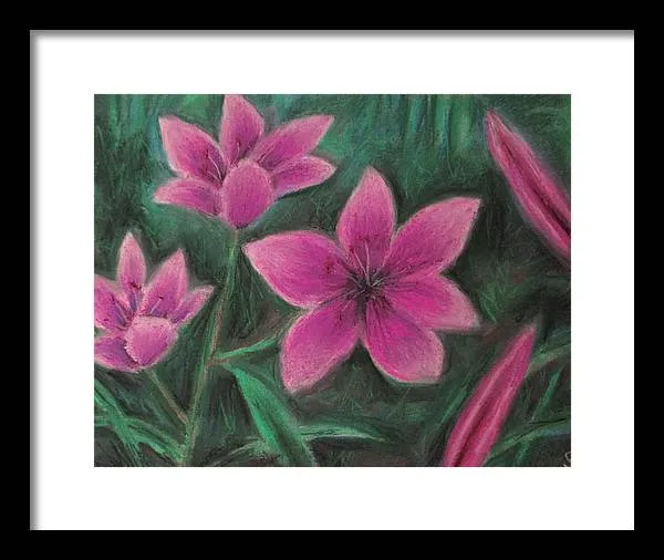 Pink Lilies - Framed Print