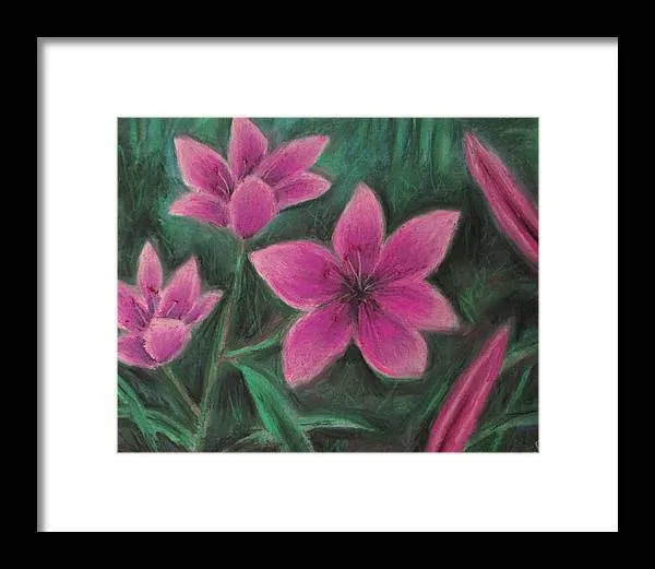 Pink Lilies - Framed Print